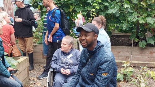 Harvest Festival at the allotment